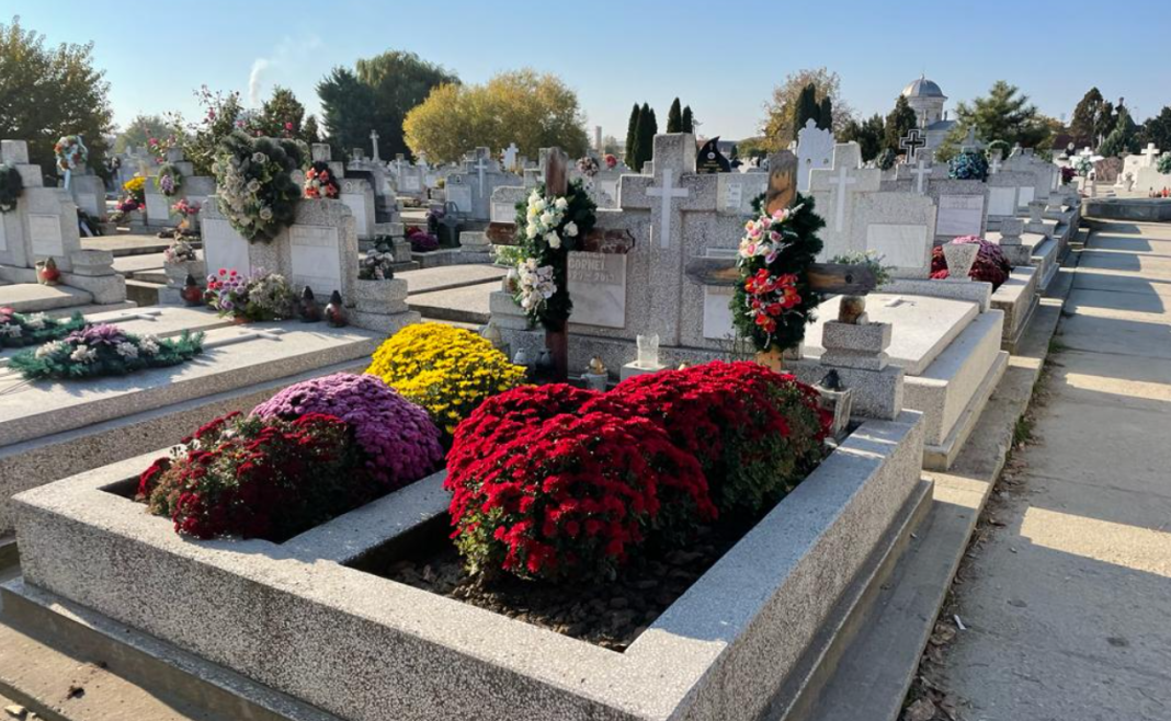 Screenshot 2025-02-19 105752